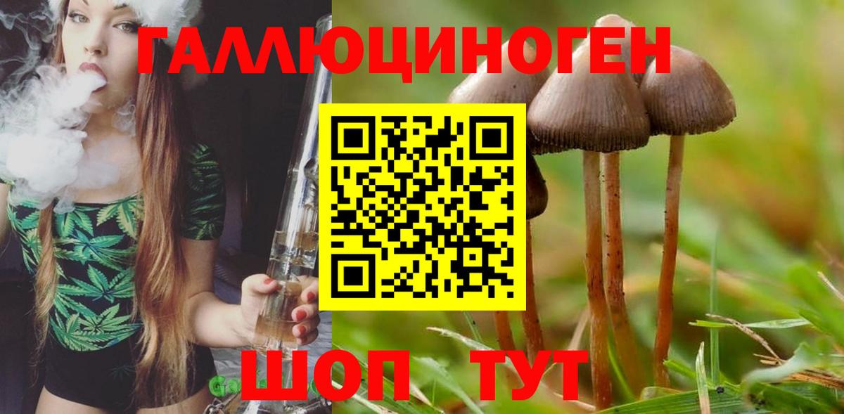 купить закладку  Вход с VPN  Псилоцибиновые грибы ЛСД  Кизилюрт  Галлюциногенные грибы прущие грибы 