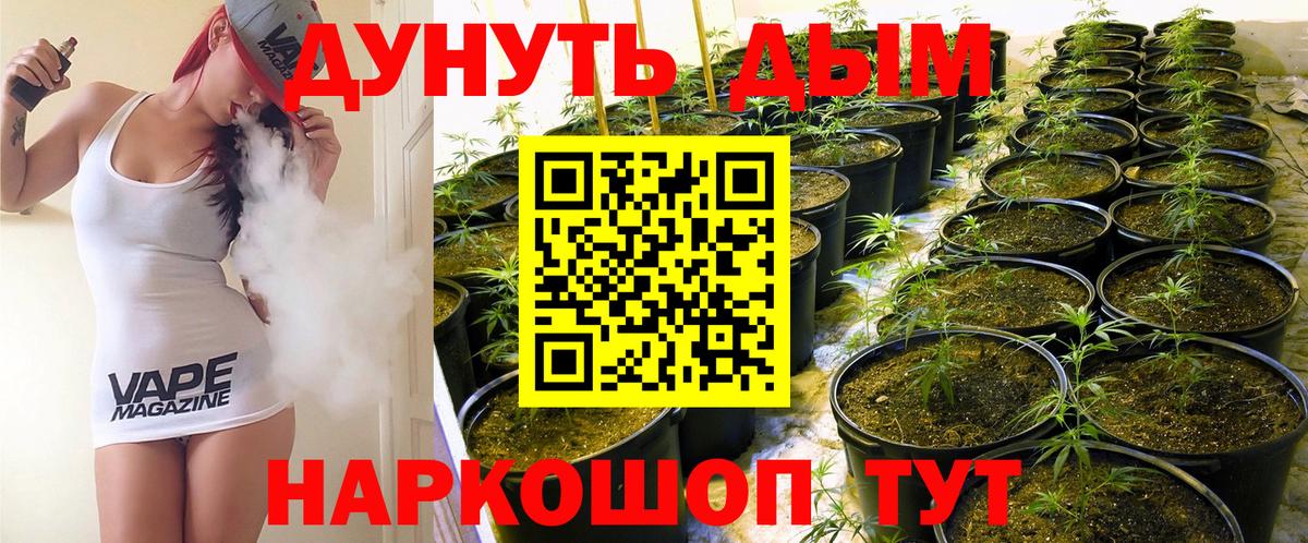 МАРИХУАНА THC 21%  Вход с VPN  Бошки марихуана Amnesia  Кизилюрт  Бошки Шишки Amnesia 